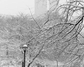 Winter in Central Park // NYC Wall Art, New York City Photography, Central Park, New York City Architecture, NYC Decor, NYC Black and White