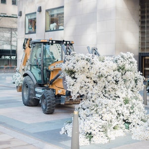 Lewis Miller Flower Flash New York City Rockefeller Center // NYC Art Print, New York City Wall Decor, Florals, White, 8x10 Print NYC Print
