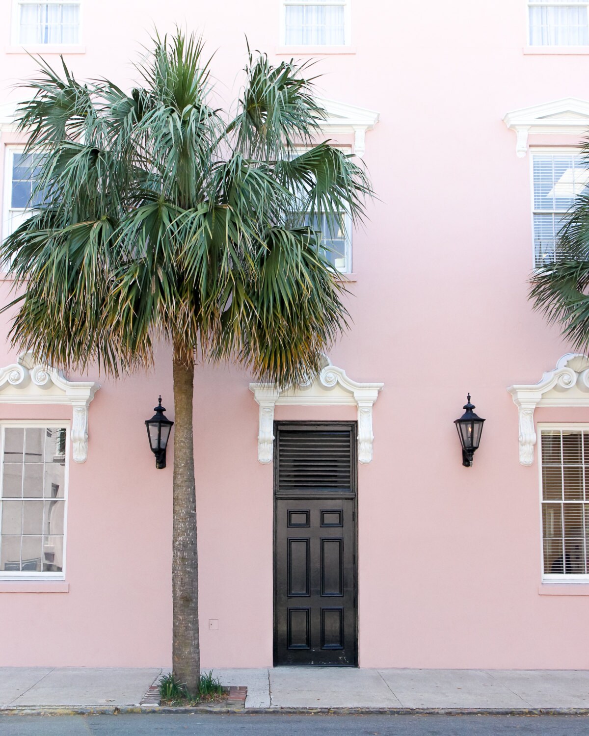 Pink and Palms // Charleston SC Fine Art Photography Print Palm Print Charleston Photography Charleston Print Southern Art Palm Trees, Pink