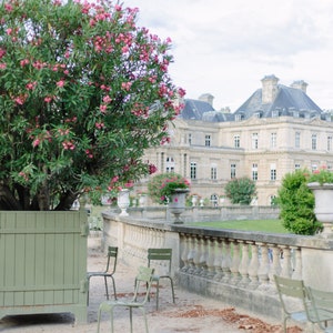 Jardins du Luxembourg en été // Paris Fine Art Print Travel Photography Jardin Pink Flowers in Bloom Parisian Architecture Français Home Decor