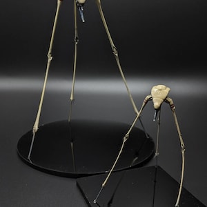 May include: Two beige tripod-style figures with long, thin legs and a central body section. The larger figure stands on a circular black base, while the smaller figure stands on a square black base. Both feature red striped accents on the upper legs.