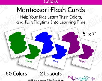 50 Printable Color Flash Cards | Educational English Color Cards for Preschool, Kindergarten, Montessori, ESL, and More | Instant Download