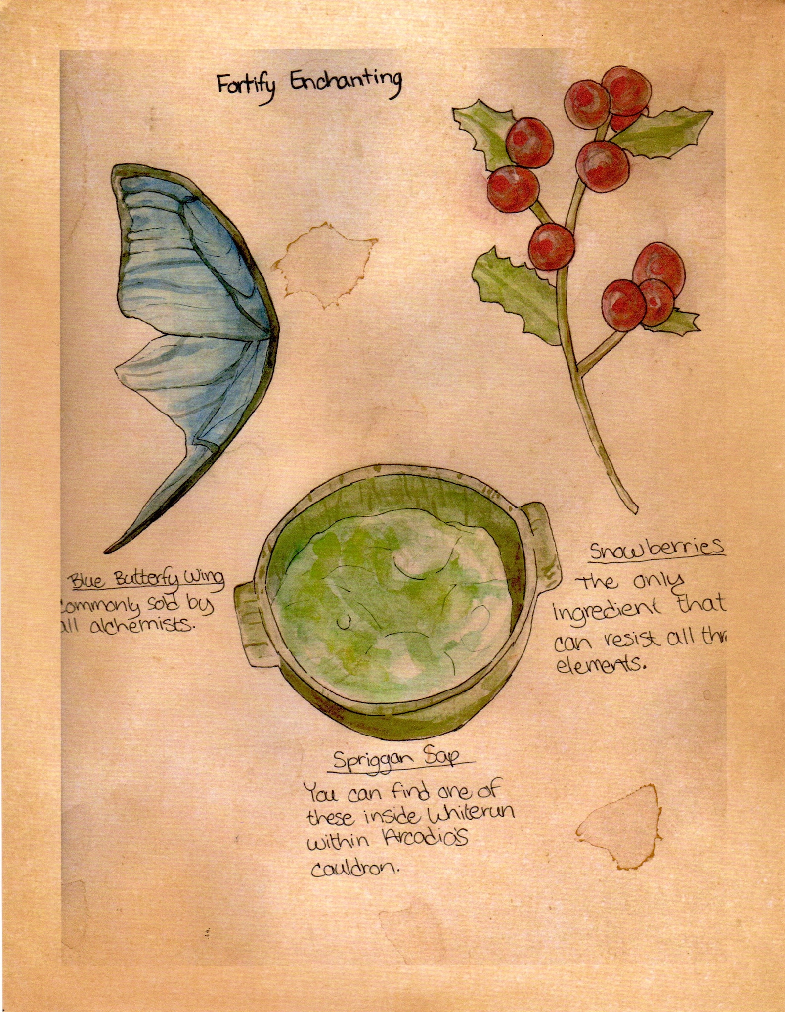 Skyrim Potion Fortify Enchanting - 8dysoxc
