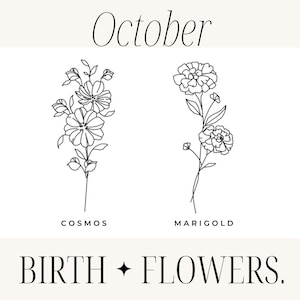 Può includere: Illustrazione in bianco e nero con due disegni floreali. La parola "October" è in alto. La parola "Cosmos" è sotto il primo fiore e "Marigold" è sotto il secondo. Le parole "BIRTH + FLOWERS" sono in basso.