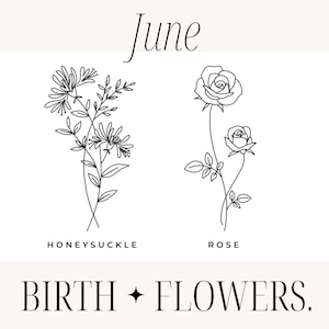 Puede incluir: Ilustración de línea de arte de una flor de madreselva y una rosa, con el texto "June" en la parte superior y "BIRTH + FLOWERS." en la parte inferior. La madreselva está etiquetada como "Honeysuckle" y la rosa está etiquetada como "Rose".