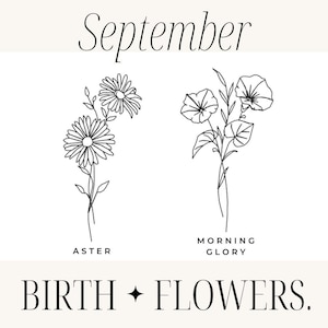 以下が含まれることがあります： 2つの花のイラストが描かれた白黒のイラストです。「September」の文字が上部にあります。左の花は「Aster」、右の花は「Morning Glory」と表示されています。「BIRTH + FLOWERS」の文字が下部にあります。