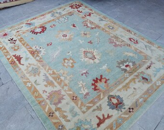 May include: A rectangular area rug with a light blue central field and a beige border. The rug features a repeating floral pattern in shades of red, orange, and blue. The rug is likely made of wool or a similar material.