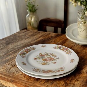 Elegant vintage Bavaria Seltmann cake plate set, 1960-70s, floral pattern, two flowers retro plate, collector's item & gift idea