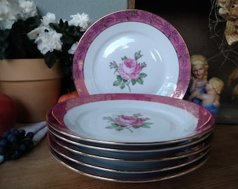 Vintage porselein uit Thüringen veb Eisenberg "Fortuna" 6x dinerborden met rozendecoratie platte borden shabby chic