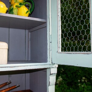 May include: A light blue cabinet with a wire mesh door. The cabinet has two shelves, one with a white box and the other with a ceramic lemon pitcher and two lemons.