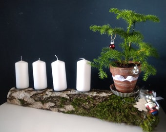 Adventskranz länglich ca 60cm schlicht auf einer Birke mit Araucaria in verwittertem Terrakotta Topf auf antiken Törtchenform