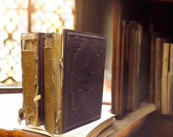 Antique Lessing works (around 1900) in shabby chic: timeless books for collectors & stylish decoration – a touch of history!