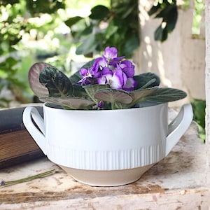 Kahla Porcelain Vintage Terrine – simple GDR terrine with grooved structure from the 1970s
