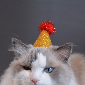 Glittery hat for cat / Christmas birthday hat for cat  / hat for dog / cute cat hat / hat for pet / pet costume / Crafts4cats