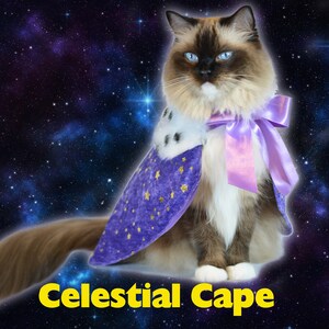 Galaxy cat costume hot sale