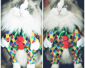 Cat costume / dog costume /fancy costume for pet /Funny Costume for Pet / cape for cat/ cute pet costume /harlequin