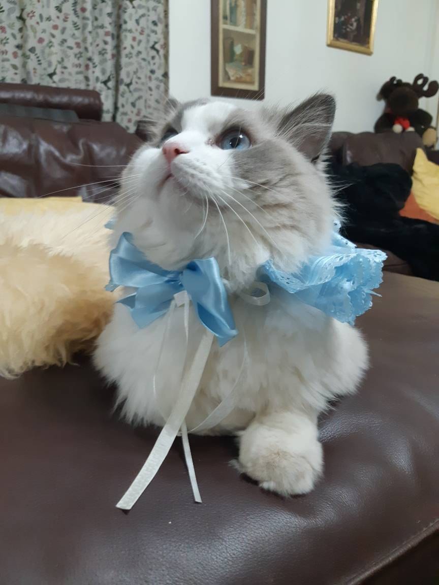 Pet Costume Elizabethan Ruffle Collar for Cats and Small Etsy