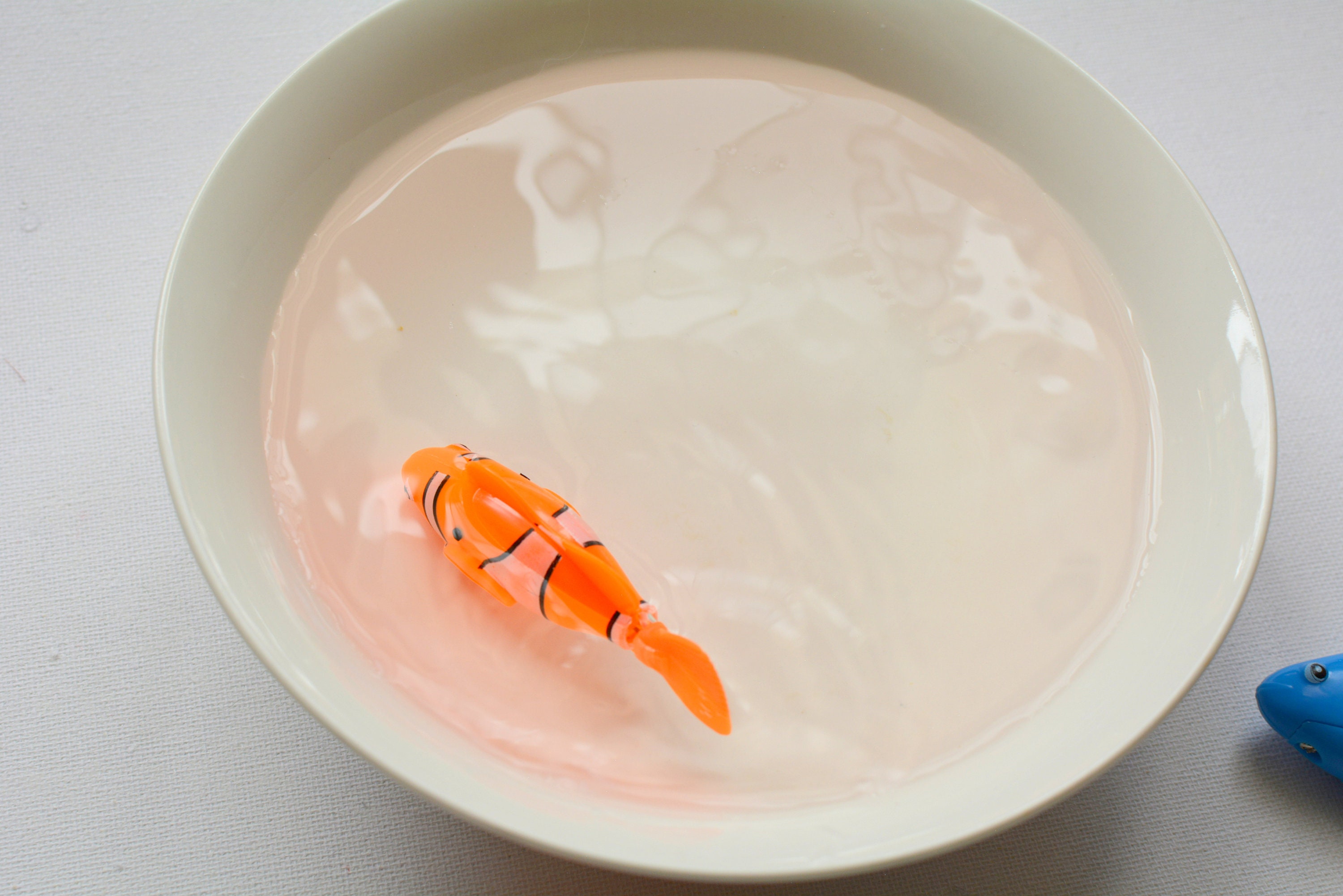 cat fish tank toy