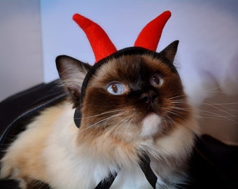 Gorro para gato 'Lucifer' - lindo gorro con cuernos de diablo para gato hecho de fieltro con agujeros para las orejas de gato Gorro de gato de Halloween, negro y rojo