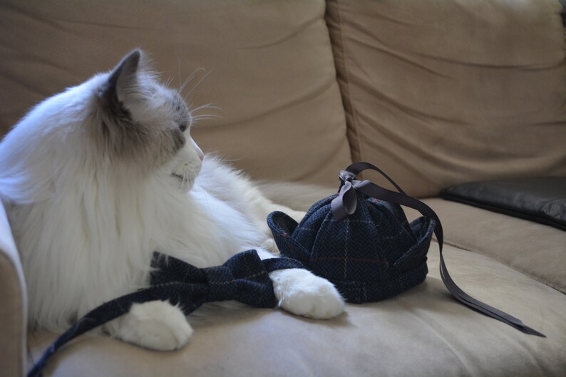 Fetes Occasions Speciales Carte D Anniversaire Du Chat Ou Chien Traditionnel Mignon De Pet Au Proprietaire Maison Whpropiedades Cl Fetes Occasions Speciales Carte D Anniversaire Du Chat Ou Chien Traditionnel Mignon De Pet Au Proprietaire Maison Whpropiedades Cl