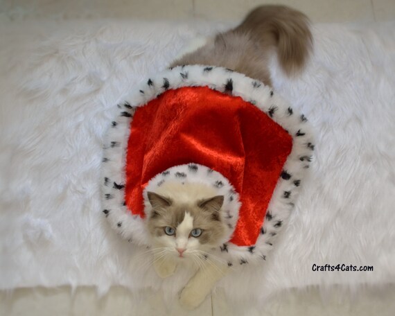 Manteau Pour Les Chat Costume Royal Velvet De wOuPkXTiZ