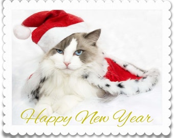Happy New Year Cat e-Card - Download