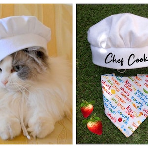 Chef hat, bandana & collar costume for cat and dog