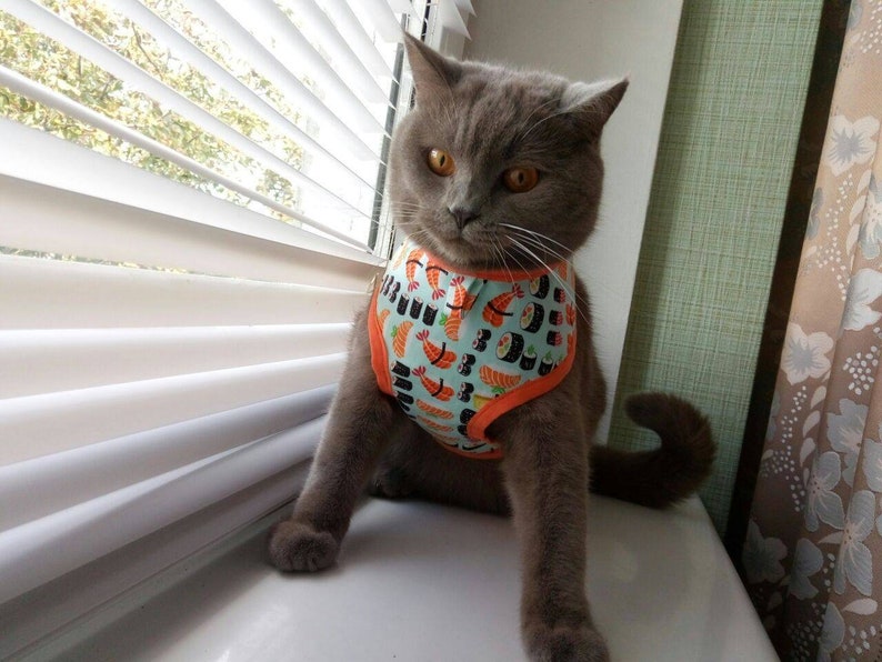 sushi cat harness