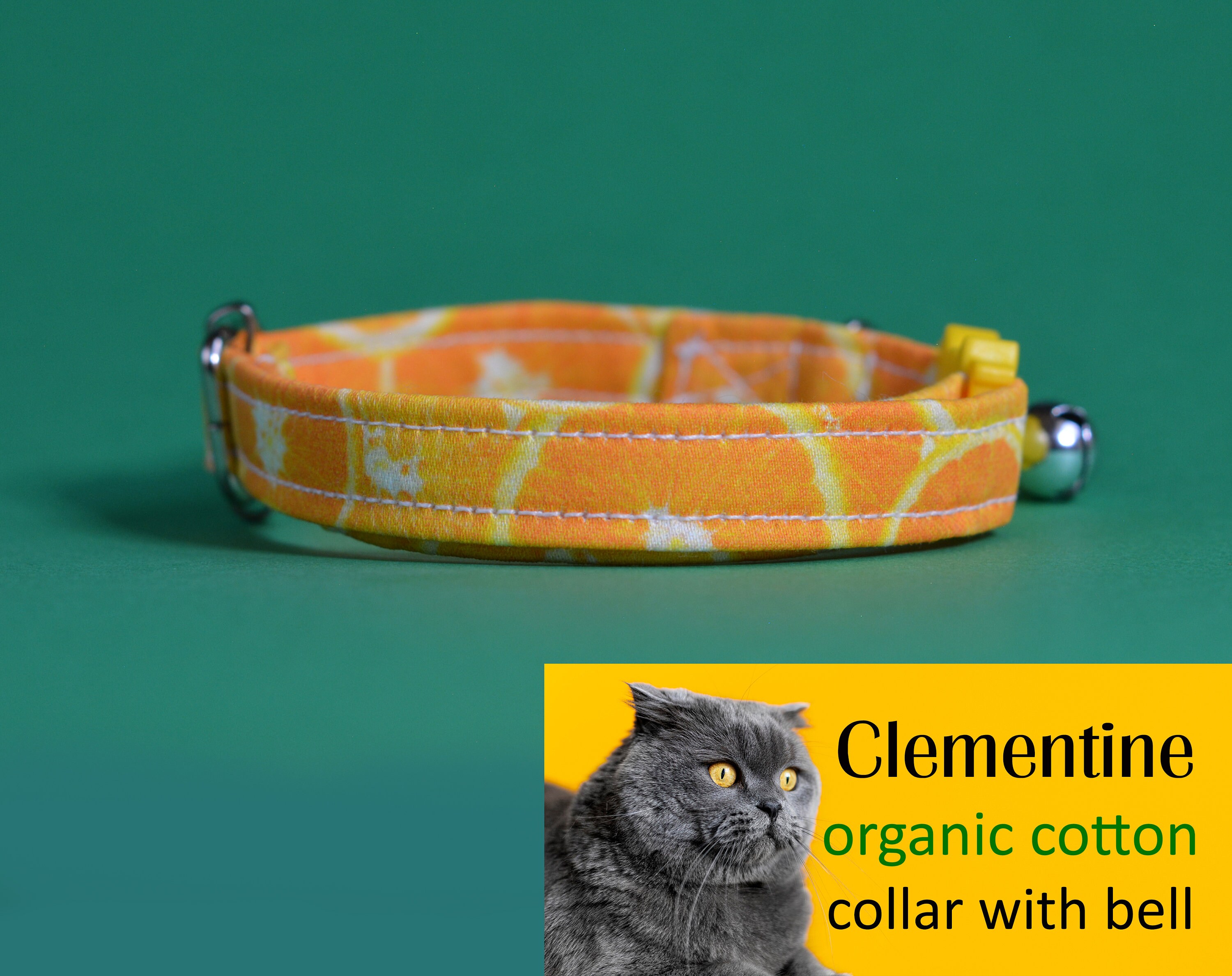 orange kitten collar