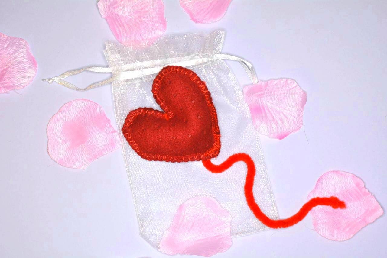 Valentine Hearts - Jouet Unique Pour Chat à L'herbe Chat, Herbe avec Jouet Silvevine Chats et Chaton