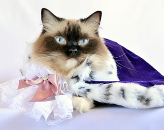 Luxury Royal Cat  Costume - Baroque style Velvet Cloak Costume for Cats Ermine faux fur - Royal Cloak Dogs - King cat  costume