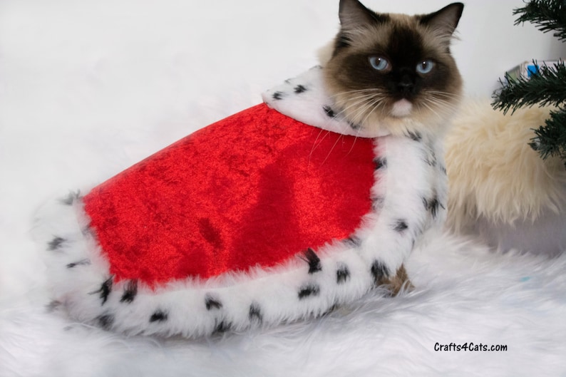 Royal Cat Costume Royal Velvet Cloak Costume for Cats with Etsy