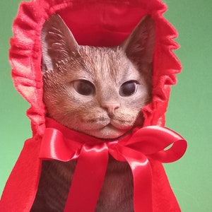 hood for cat