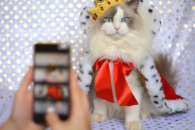 Royal Cat Costume King/queen Cape for Cats and Small Dogs Etsy