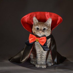 Countess Dracula costume for cat or dog, black and red satin, bow tie, cape, Halloween vampire pet costume, handmade  by Crafts4Cats