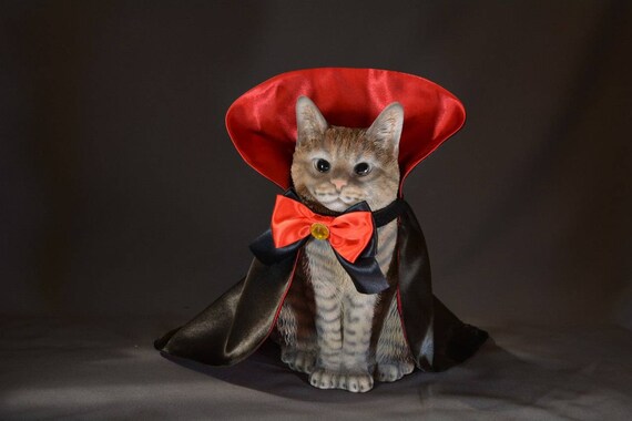 Countess Dracula Costume for Cat or Dog Black and Red Satin Bow Tie Cape Halloween Vampire Pet Costume Handmade by Crafts4cats Etsy