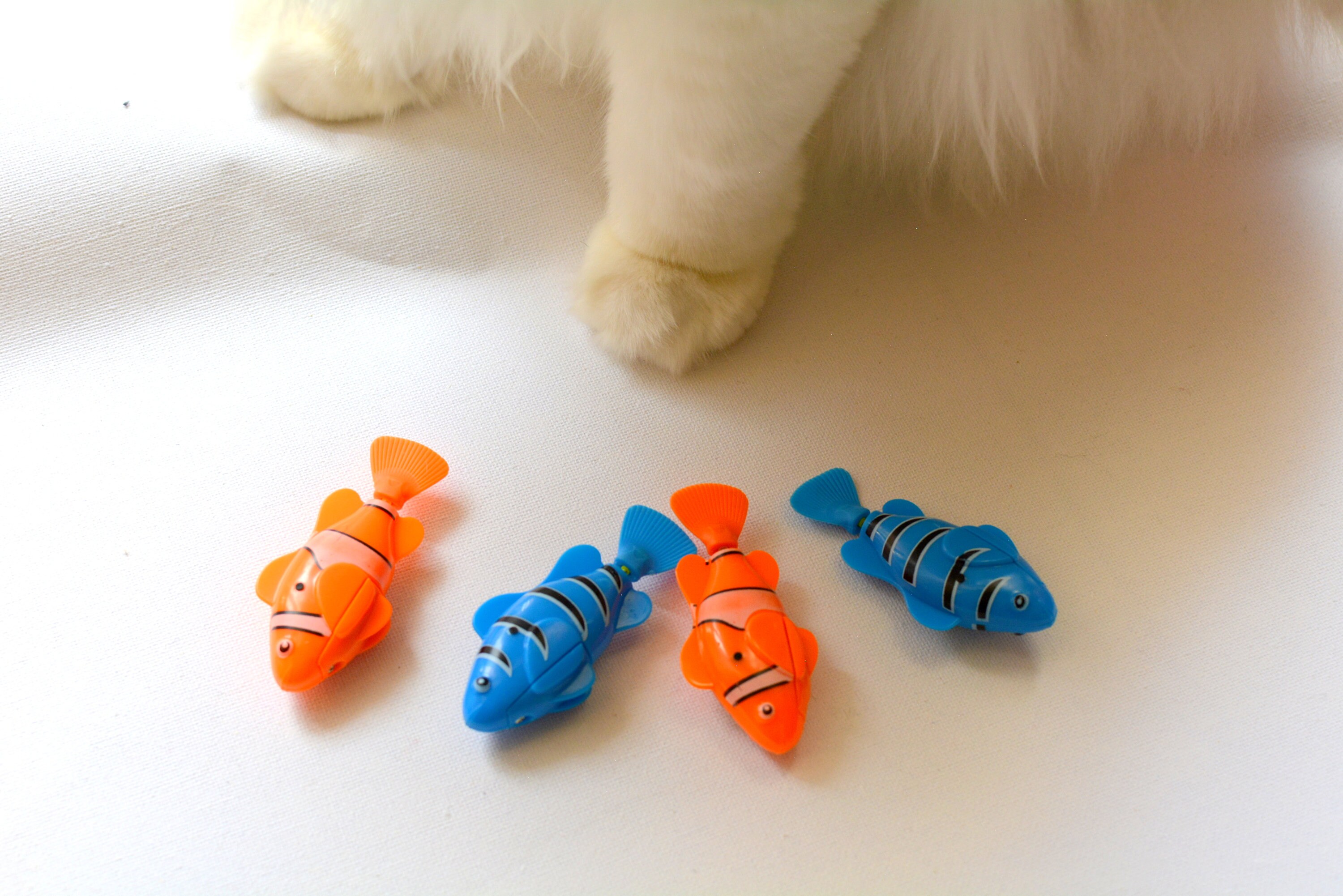 robot fish cat toy
