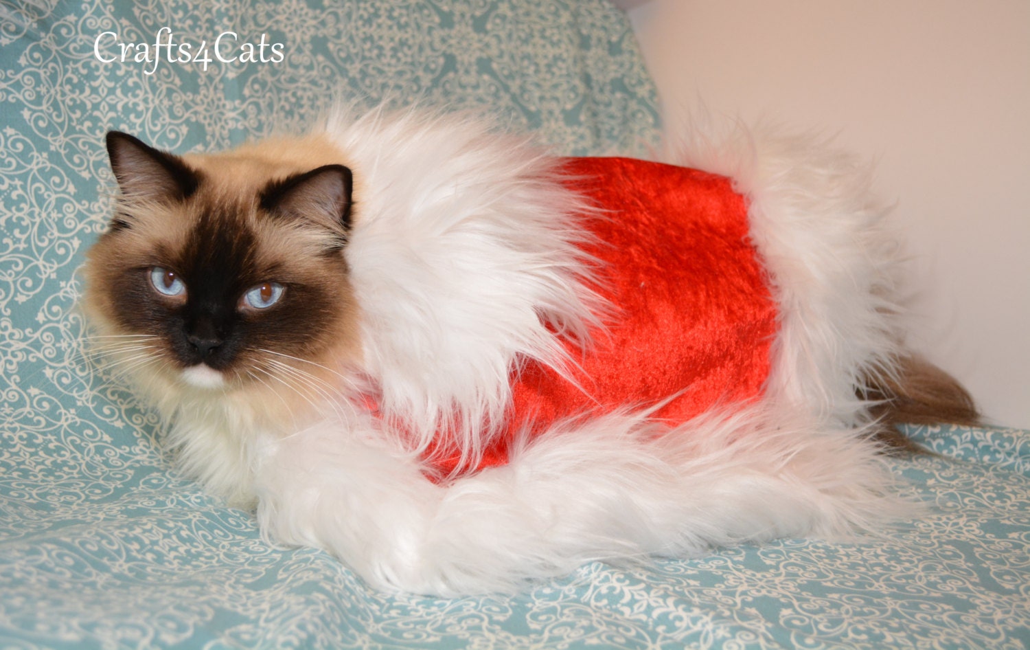 Cat Halloween costume - cape with white fur trimming - cape for dog or