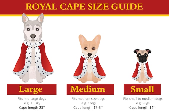 Royal Cat Costume Capa de rey / reina para gatos y perros - Etsy México Royal Cat Costume Capa de rey / reina para gatos y perros - Etsy México