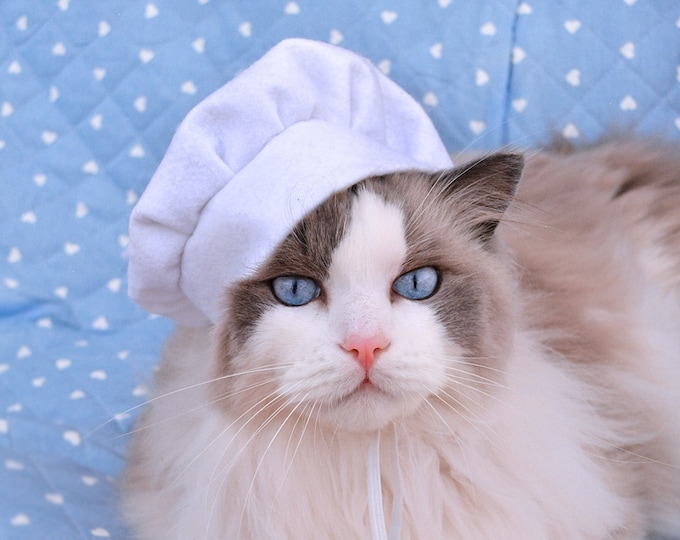 Featured listing image: Royal Kitchen Chef Cook Hat for cat or dog / cute hats for dogs / hats for cats / cute hats / pet costume / handmade by Crafts4Cats