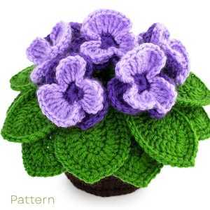 Può includere: Una pianta di violetta africana all'uncinetto con fiori viola e foglie verdi. La pianta è in un vaso marrone. La parola "Pattern" è scritta in verde in basso nell'immagine.
