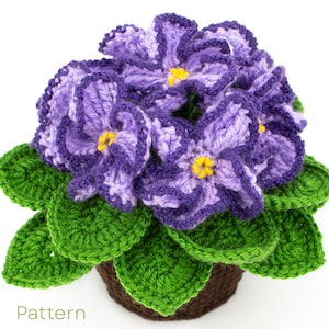 Può includere: Una pianta di violetta africana all'uncinetto con fiori viola e bianchi, centri gialli e foglie verdi. La pianta è in un vaso marrone. La parola "Pattern" è in basso nell'immagine.