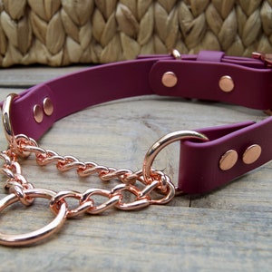 Martingale Adjustable Biothane Dog Collar, 1" Inch Width: Waterproof, Durable, Easy to Clean, Training Collar Check Chain Dog Collar