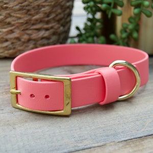 Classic Biothane Dog Collar, Single Color 1&quot; Inch Width: Waterproof, Alternative to Leather, Adjustable, Durable, Easy to Clean