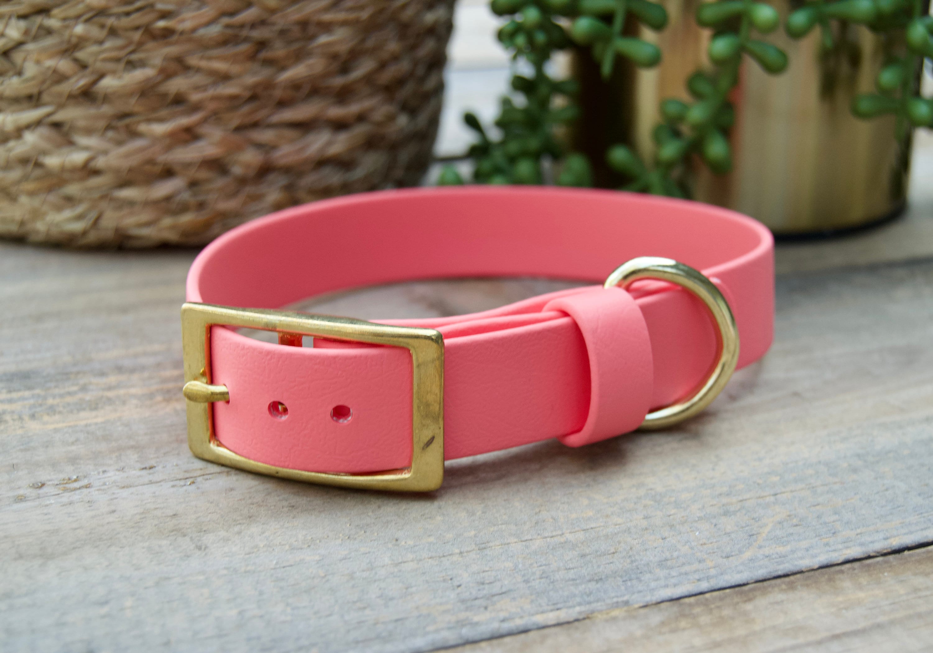 Classic Biothane Dog Collar, Single Color 1
