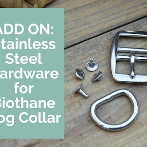 Biothane Dog Collar Stainless Steel Hardware Upgrade