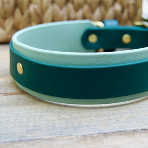May include: A two-tone dog collar in shades of green. The collar features a dark green outer layer and a lighter green inner layer, with gold-colored hardware. The collar is made of a durable material and is designed for comfort and style.