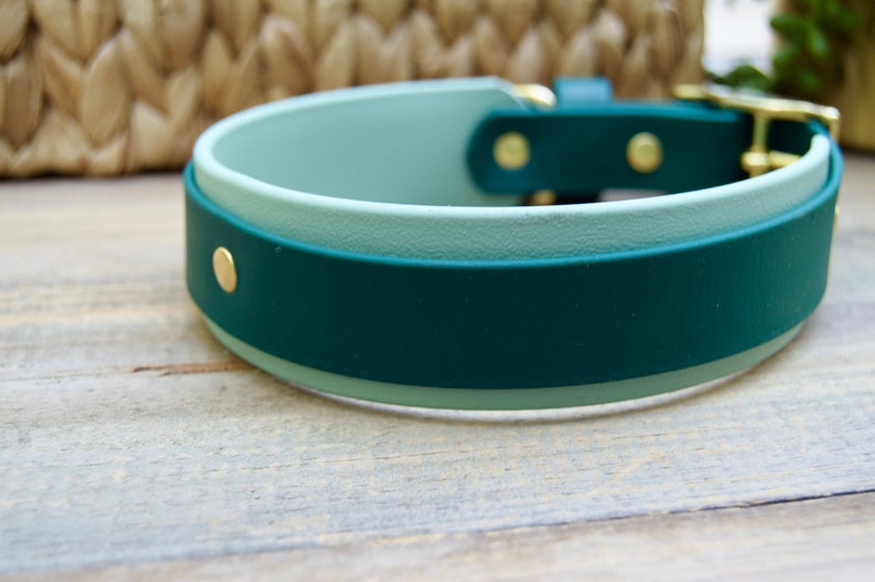 May include: A two-tone dog collar in shades of green. The collar features a dark green outer layer and a lighter green inner layer, with gold-colored hardware. The collar is made of a durable material and is designed for comfort and style.
