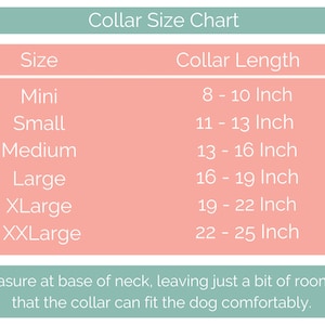 Pu&ograve; includere: Un grafico che mostra le taglie dei collari per cani, con misure in pollici. Il grafico elenca le taglie da Mini a XXLarge, con lunghezze del collare corrispondenti che vanno da 8 a 10 pollici a 22 a 25 pollici. Il testo in fondo al grafico dice: "Misura alla base del collo, lasciando un po' di spazio in modo che il collare si adatti comodamente al cane."