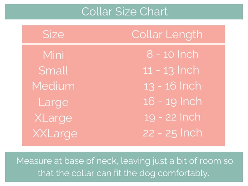 Pu&ograve; includere: Un grafico che mostra le taglie dei collari per cani, con misure in pollici. Il grafico elenca le taglie da Mini a XXLarge, con lunghezze del collare corrispondenti che vanno da 8 a 10 pollici a 22 a 25 pollici. Il testo in fondo al grafico dice: "Misura alla base del collo, lasciando un po' di spazio in modo che il collare si adatti comodamente al cane."